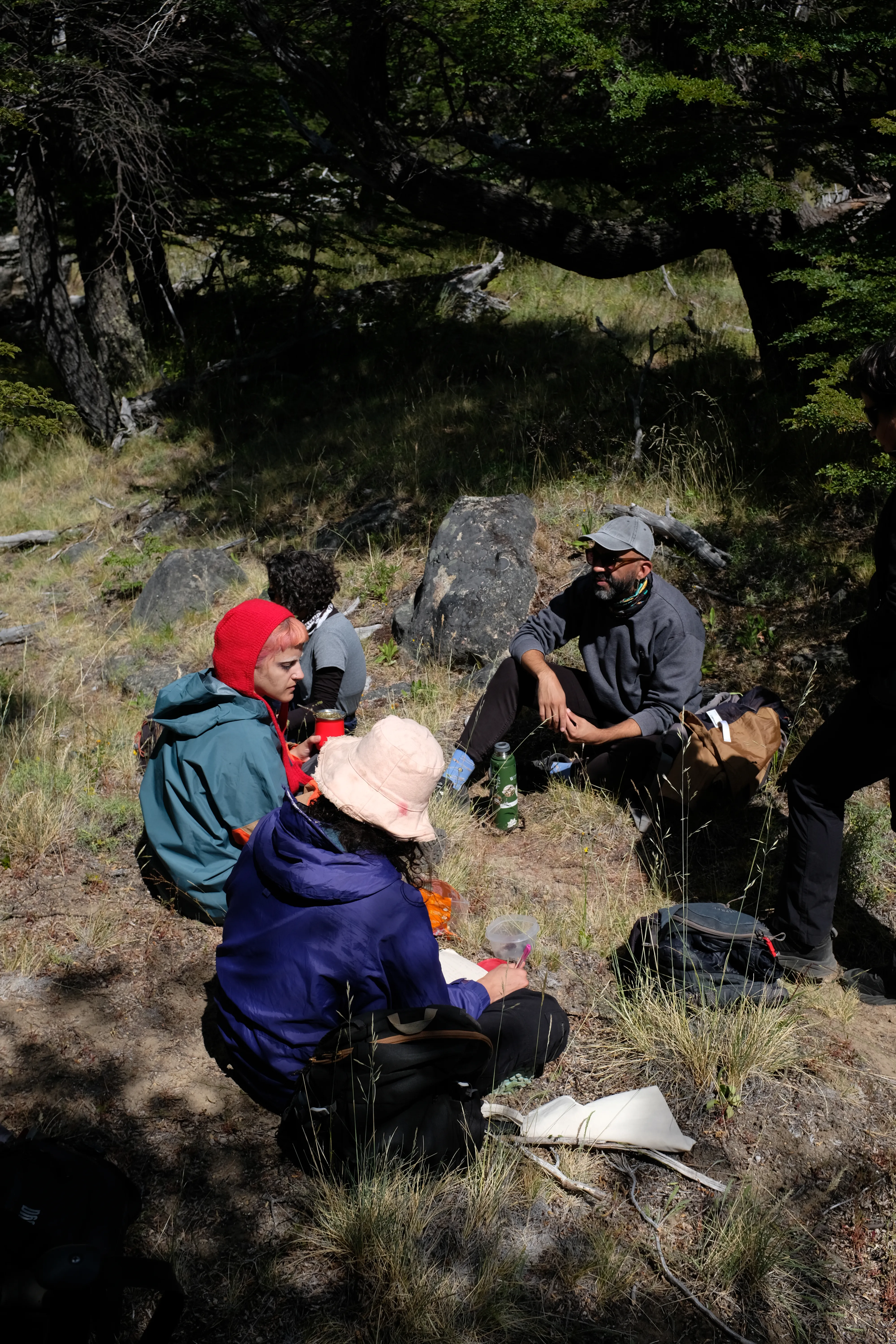 Tras la ruta del Huemul